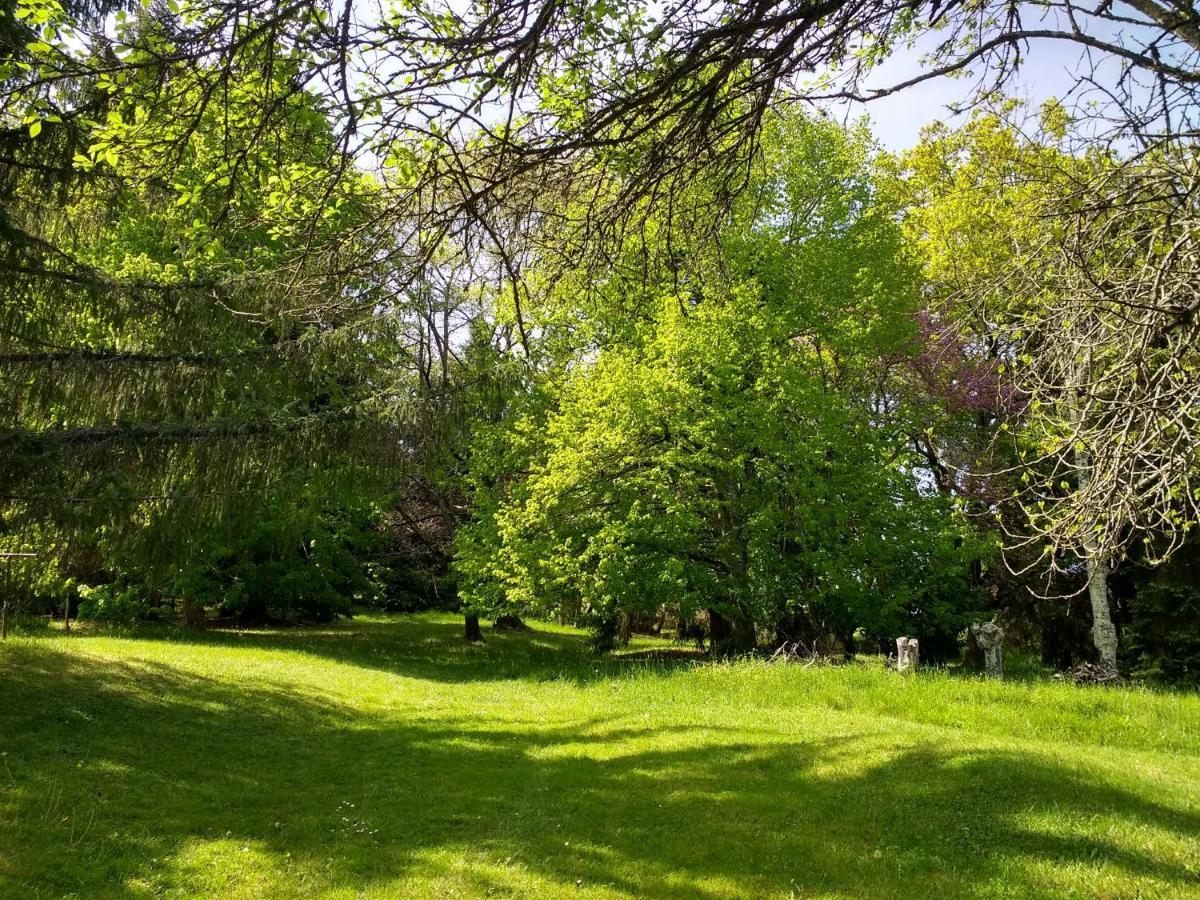 Pyrenees Vue Gite - Vues Fantastique, Parking Gratuit Sur Place & Piscine Saint Gaudens Eksteriør bilde